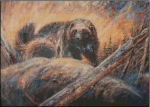 (image for) The Rugged Wolverine